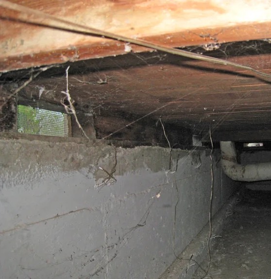 Crawl Space Water Extraction in Arlington, AZ