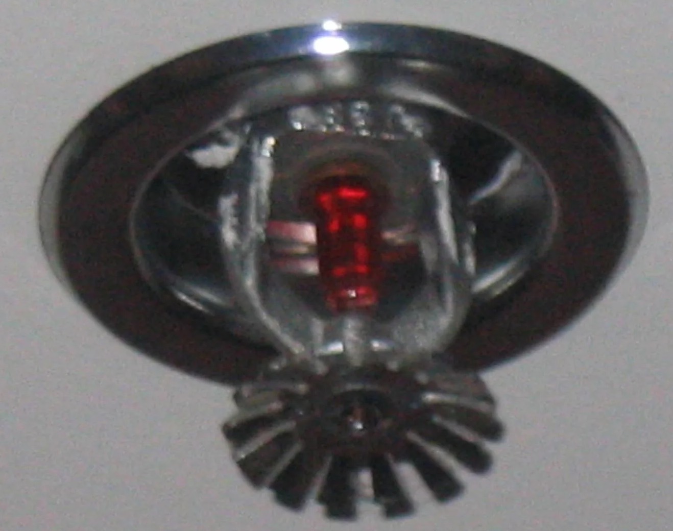 Sprinkler System Water Removal in New River, AZ