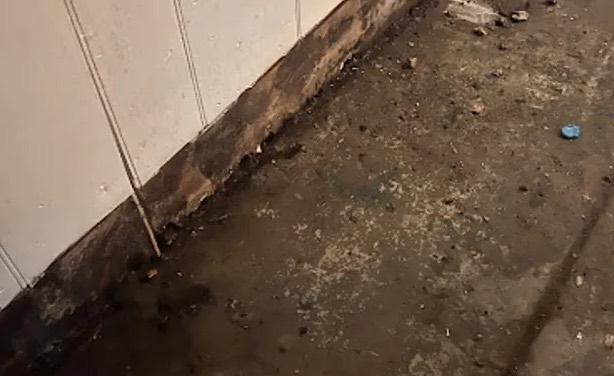 Sewage Water Extraction in Tolleson, AZ
