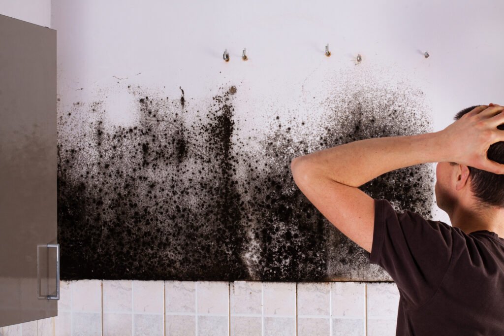 Mold Is Especially Dangerous